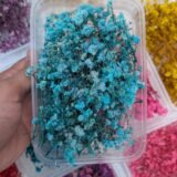 Dried Babybreath Flowers