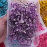 Dried Babybreath Flowers