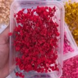Dried Babybreath Flowers