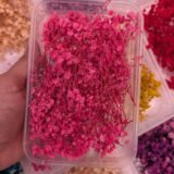Dried Babybreath Flowers