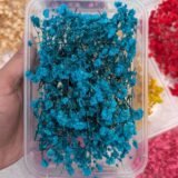 Dried Babybreath Flowers