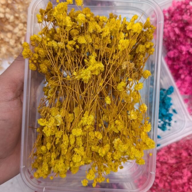 Dried Babybreath Flowers