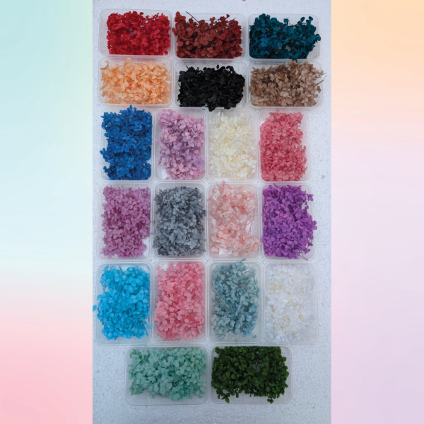 multi shades of hydrangea flowers boxes