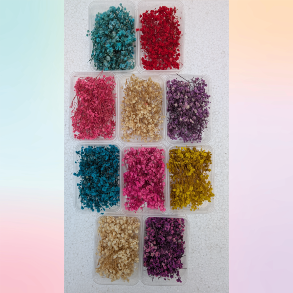 Dried Baby’s Breath flowers in 10 colour variations for resin art
