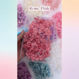 Dried Hydrangea Flowers for Resin Art