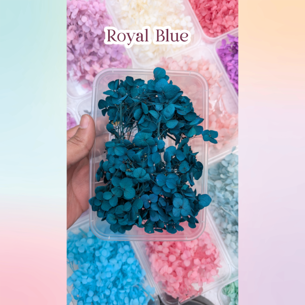 Royal Blue color dried haydrangea flowers for resin art and DIY craft