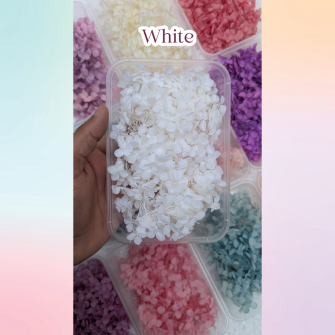 TESTING PRODUCT