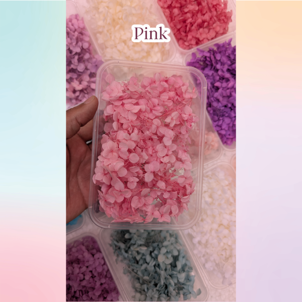 Pink color dried haydrangea flowers for resin art and DIY craft