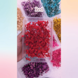Dried BabyBreath Flowers for Resin Art