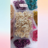 Dried BabyBreath Flowers for Resin Art