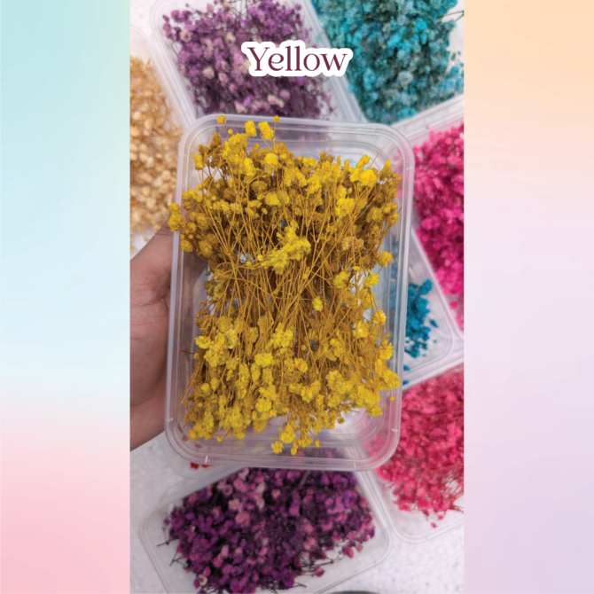 Dried BabyBreath Flowers for Resin Art
